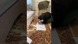 Сделала выкройку джинс для своей неидеальной фигуры #шитье #выкройка #джинсы