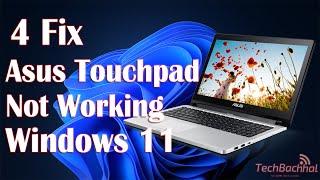 Asus Touchpad Not Working Windows 11 - 4 fix