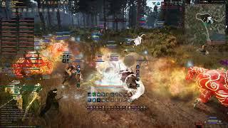 [BDO] BlackRose Nodewar Mansha Forest 7/27/18