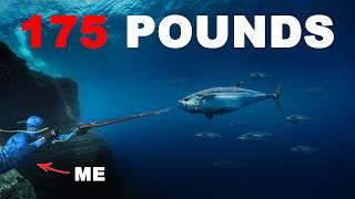 Hunting The Most Powerful Tuna On Earth...100 ft deep