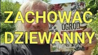 Żmijowce i dziewanny: czas na ochronę roślin dwuletnich