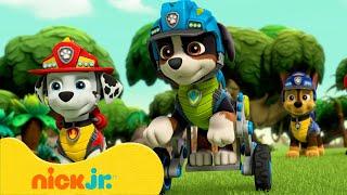 PAW Patrol | Dinosaurierabenteuer mit Rex! | Nick Jr. Deutschland