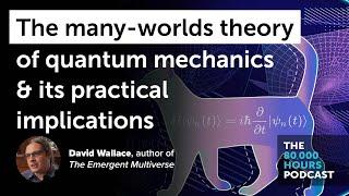 The many-worlds theory of quantum mechanics & its implications | David Wallace (2021)