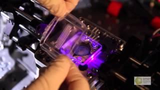 BPHOT   Photonics in food safety applications
