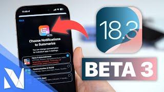 iOS 18.3 Beta 3 - Was ist neu? (Summarize Notifications, Kamerasteuerung & mehr) | Nils-Hendrik Welk