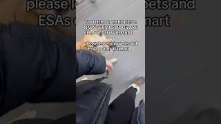 You herd it here: WALMART IS NOT PET FRIENDLY! #servicedog #dog #disability #youtubeshorts #shorts