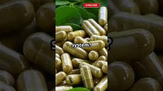 Moringa Magic: The Health Game-Changer!