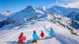 VR 360° Swiss Winter Sledging Tour Kleine Scheidegg and Männlichen