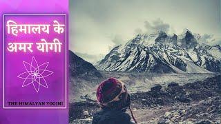 Are There Immortal Beings In The Himalayas? #himalayayogi