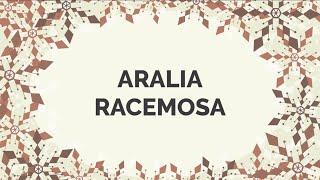 If you have asthma / bronchitis / cough / respiratory illness, DON'T miss Aralia homeopathic remedy.