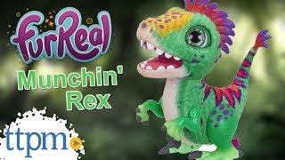 FurReal Munchin' Rex from Hasbro