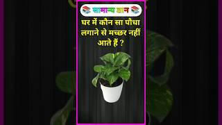 gk ssc|gk quiz |gk question|gk in hindigk|quiz in hindi| #sarkarinaukarigk #rkgkgsstudy #education