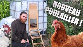 Un poulailler dans une cuve de 1000L !