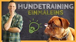 HUNDETRAINING Einmaleins | Grundlagen für eine ERFOLGREICHE Hundeerziehung