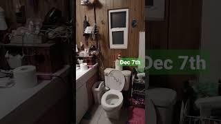 Day 7, ICUP and your poop Smells