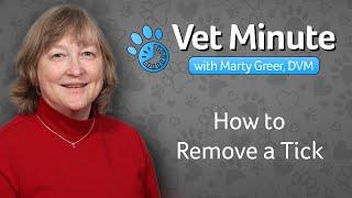 How to Remove a Tick From a Dog