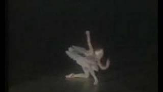 the dying swan - natalia makarova