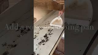 New and improved roost dropping pan. #asmr #chickencoop #chickens