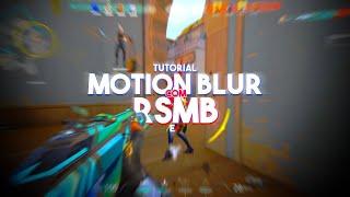 RSMB/Motion Blur Tutorial | Sony Vegas