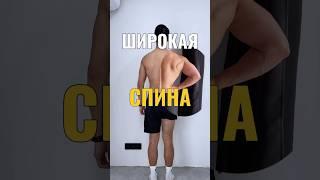 Широкая спина…