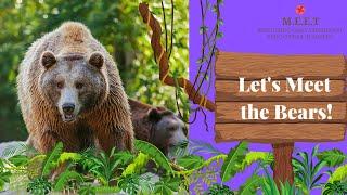 Lets meet the Bears! preschool learning videos for kids-wild animals (types of bears)