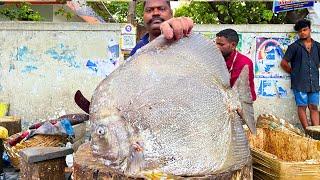 KASIMEDU  SPEED SELVAM | BIG BLACK SPADE FISH CUTTING VIDEO | IN KASIMEDU | FF CUTTING 