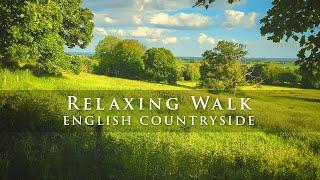 Relaxing nature walking tour along The Viking Way, English Countryside with beautiful scenery