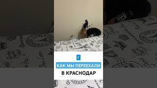 КАК МЫ ПЕРЕЕХАЛИ в Краснодар. А вы бы хотели? #переезднаюг #море #переезд #жильекраснодар