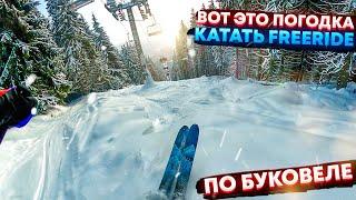 Катание вне трасс в Буковеле\Сезон 2020-2021Bukovel