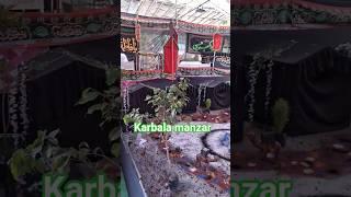 72 SHAHEED TABOOT || BAGHRA | #livemajlis #karbala #live #shorts ##shortvideo ##viralvideo #azadar