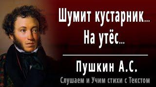 А.С. Пушкин "Шумит кустарник На утёс" - Слушать и Учить аудио стихи