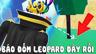 Roblox - KHÔNG THỂ TIN LÀ LẠI NHẶT ĐƯỢC BÁO ĐỐM LEOPARD KHI TÌM 10 TRÁI ÁC QUỶ PHẦN 43 - Blox Fruits