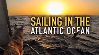 Atlantic Ocean Crossing with a dog: Canary Islands to Cape Verde | Sailing Sunday | Ep.150