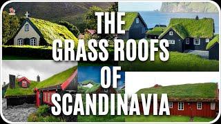 Why are GREEN / GRASS ROOF common in Scandinavia ?