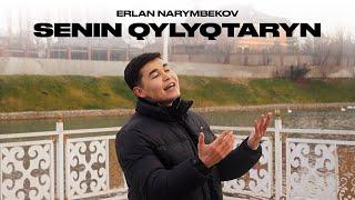 Erlan Narymbekov - Сенің қылықтарың | Official Music Video