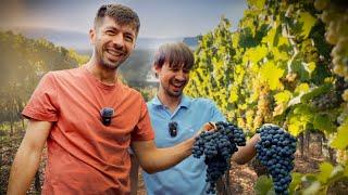 La făcut de vin în Republica Moldova