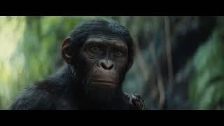 Kingdom of the Planet of the Apes (2024) | Hollywood.com Movie Trailers