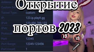 КАК ОТКРЫТЬ ПОРТЫ 2024 | PLAYIT 2024 | ОТКРЫВАЕМ ПОРТЫ БЕЗ ИСПОЛЬЗОВАНИЯ NGROK В 2024 ГОДУ