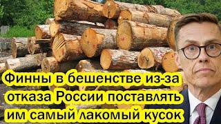 Финны в бешенстве из-за отказа России поставлять им самый лакомый кусок: дрова из Карелии!