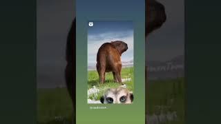 13 сентября 2023 г.