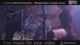 В траве сидел kuznechik - Shapovalov metal cover - free music