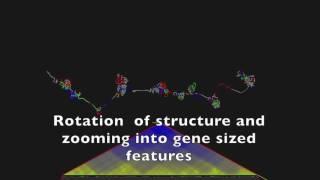 CSynth - Folding and Zooming