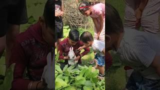 #shorts #trending #viral