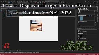 How to Display an Image in PictureBox in Runtime VB NET 2022