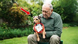 Old Man Finds His Lost Dog, But the Note on its Collar Makes the Cop Freeze...