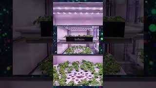 Most Impressive Vertical Farm Worth $1 Billion