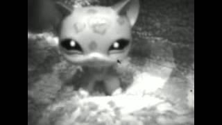 LPS MEP Intro (For Nastya Cat)