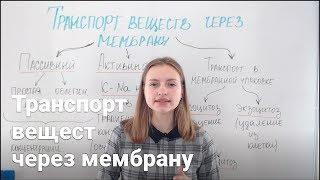 Транспорт веществ через мембрану