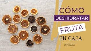 ⁣ Cómo DESHIDRATAR FRUTA en casa / FÁCIL / Craftabulous