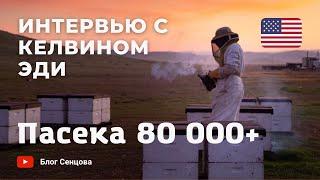 80000+ крупнейший пчеловод в США Келвин Эди (интервью)